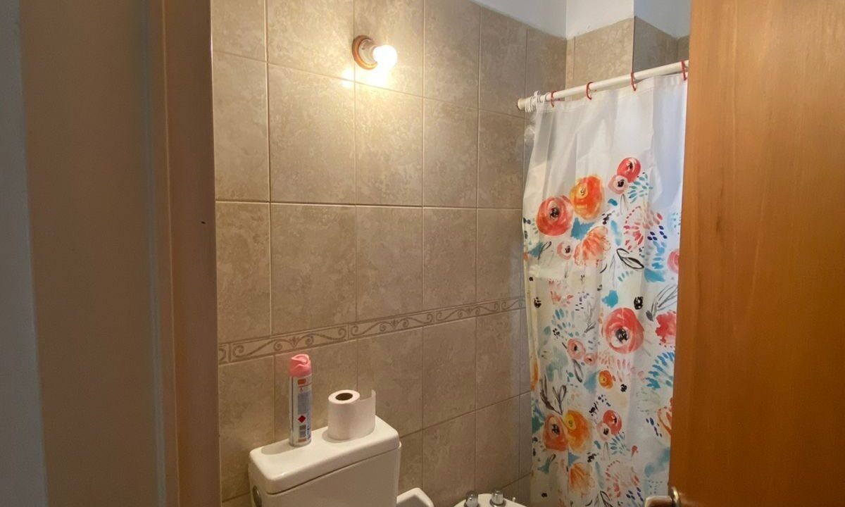 baño ameghino